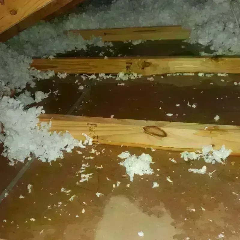 Attic Water Damage in Haleyville, AL