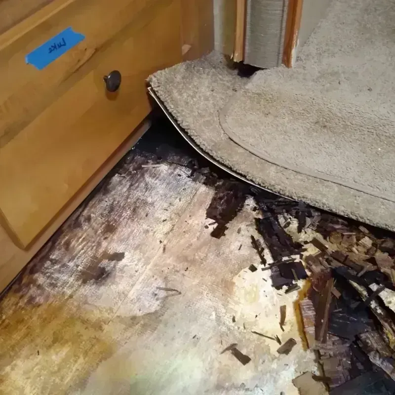 Best Wood Floor Water Damage Service in Haleyville, AL